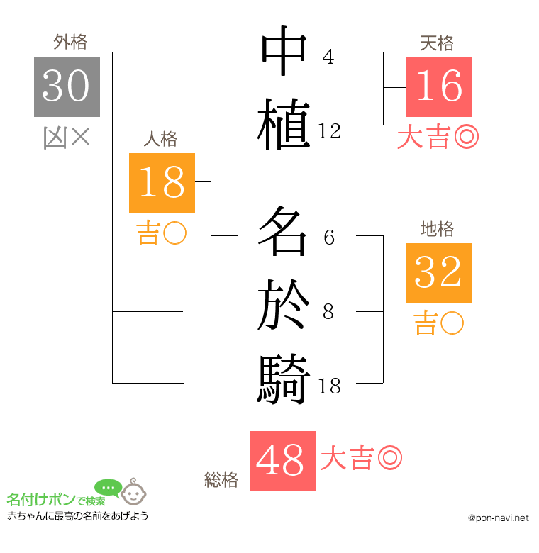 中植 名於騎さんの姓名判断結果