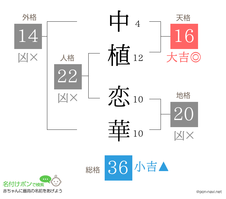 中植 恋華さんの姓名判断結果