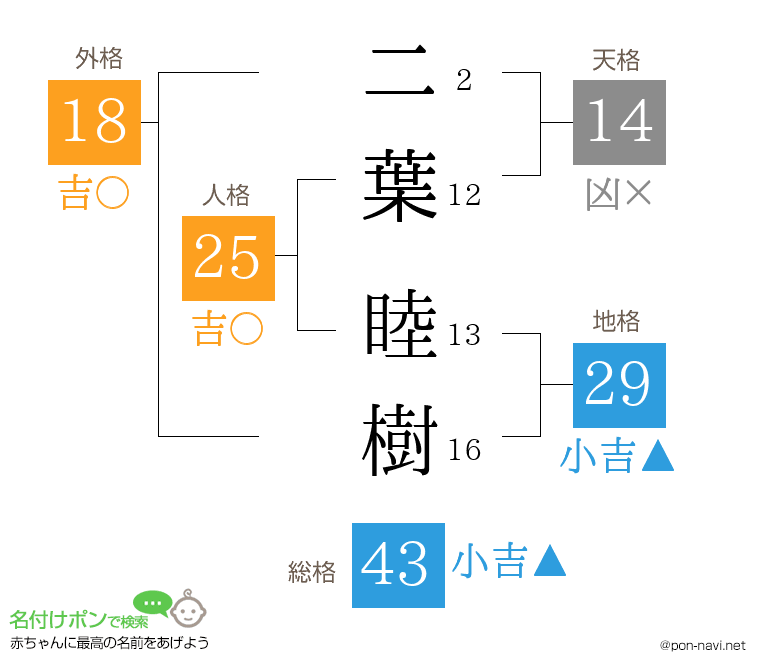 二葉 睦樹さんの姓名判断結果