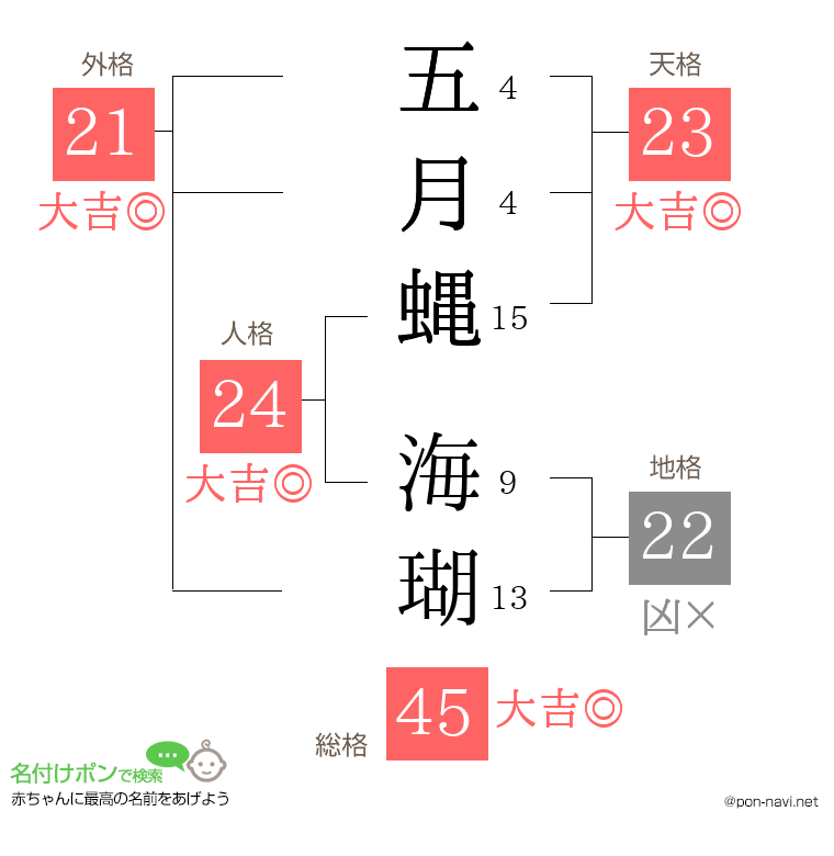 五月蝿 海瑚さんの姓名判断結果