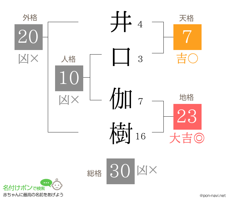 井口 伽樹さんの姓名判断結果