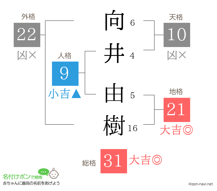 向井 由樹さんの姓名判断結果