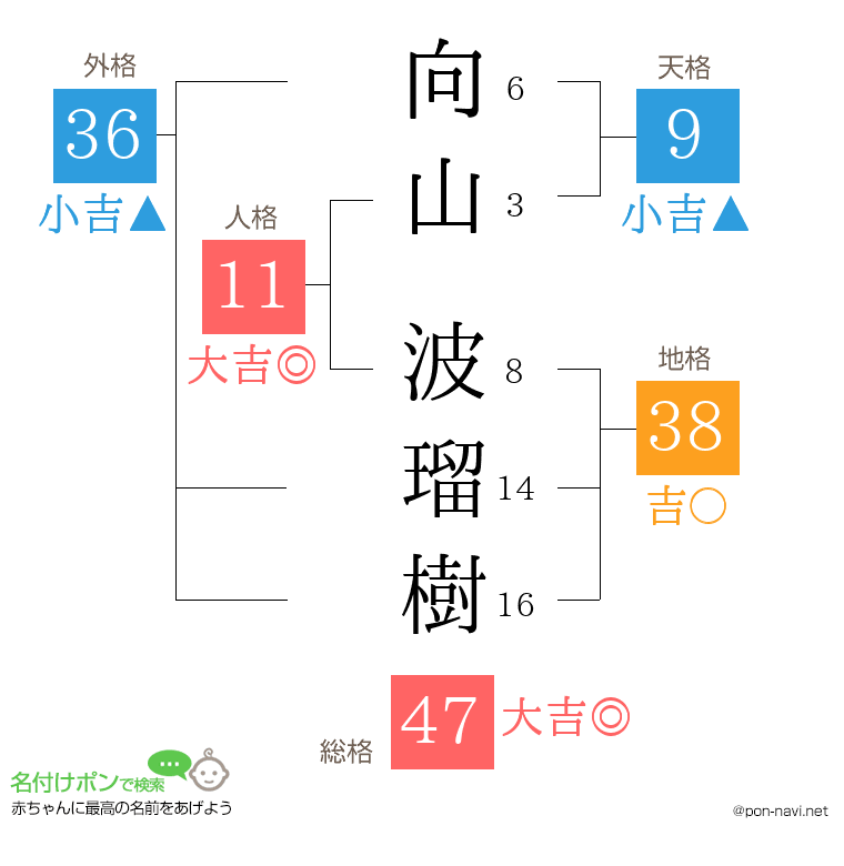 向山 波瑠樹さんの姓名判断結果