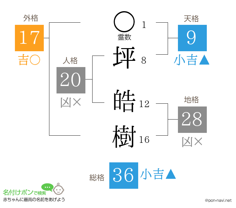 坪 皓樹さんの姓名判断結果
