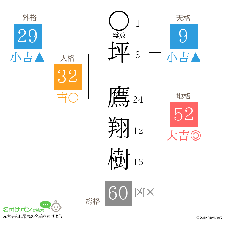 坪 鷹翔樹さんの姓名判断結果