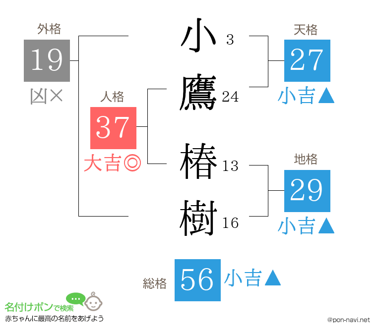 小鷹 椿樹さんの姓名判断結果
