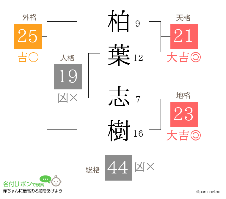 柏葉 志樹さんの姓名判断結果