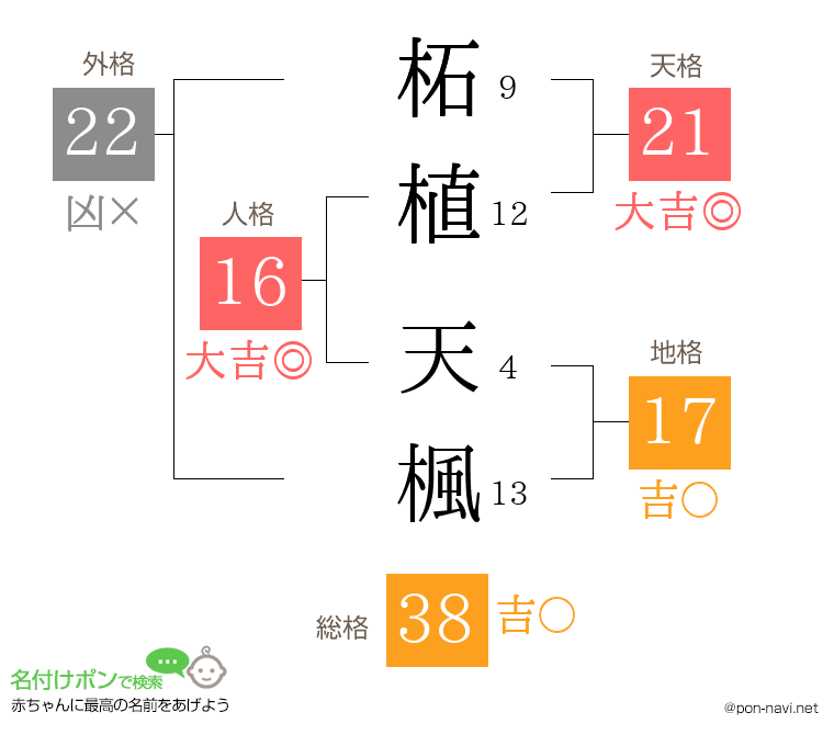 柘植 天楓さんの姓名判断結果