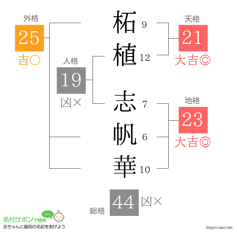 柘植 志帆華さんの姓名判断結果