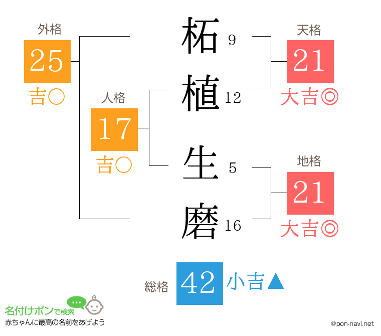 柘植 生磨さんの姓名判断結果