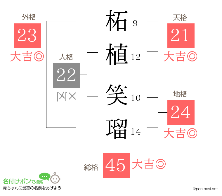 柘植 笑瑠さんの姓名判断結果