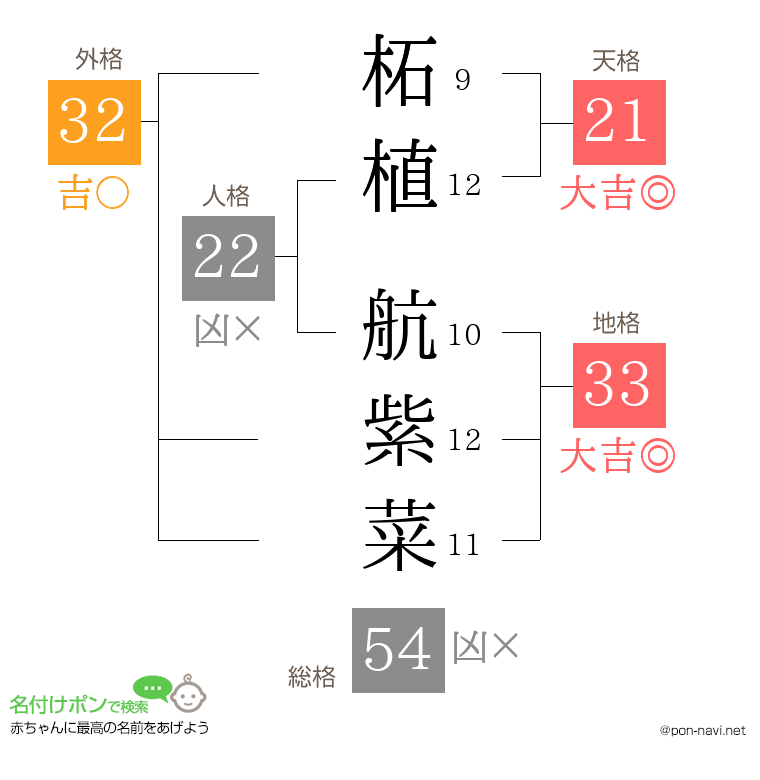 柘植 航紫菜さんの姓名判断結果