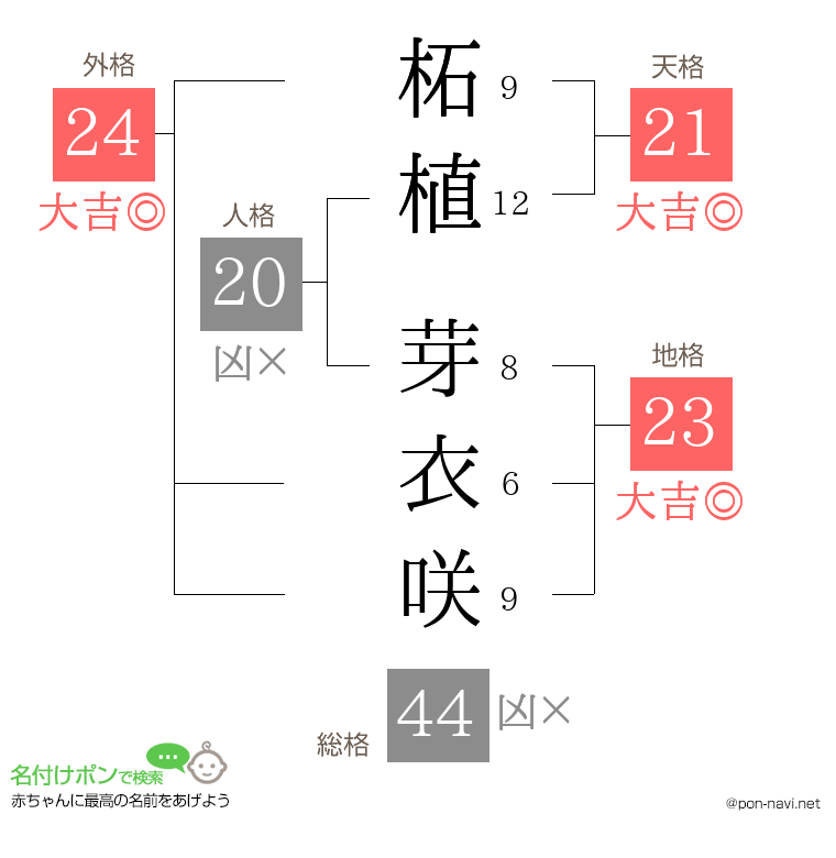 柘植 芽衣咲さんの姓名判断結果