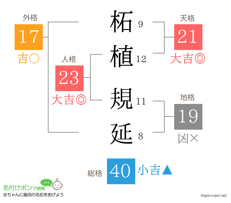 柘植 規延さんの姓名判断結果