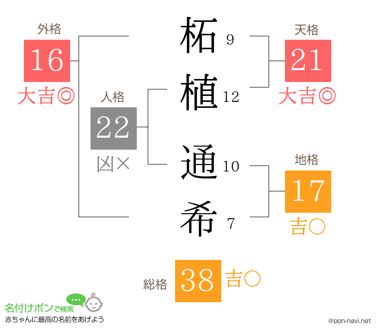 柘植 通希さんの姓名判断結果
