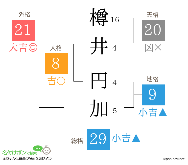 樽井 円加さんの姓名判断結果