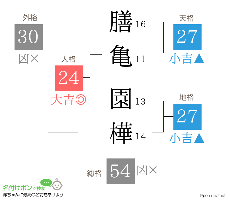 膳亀 園樺さんの姓名判断結果