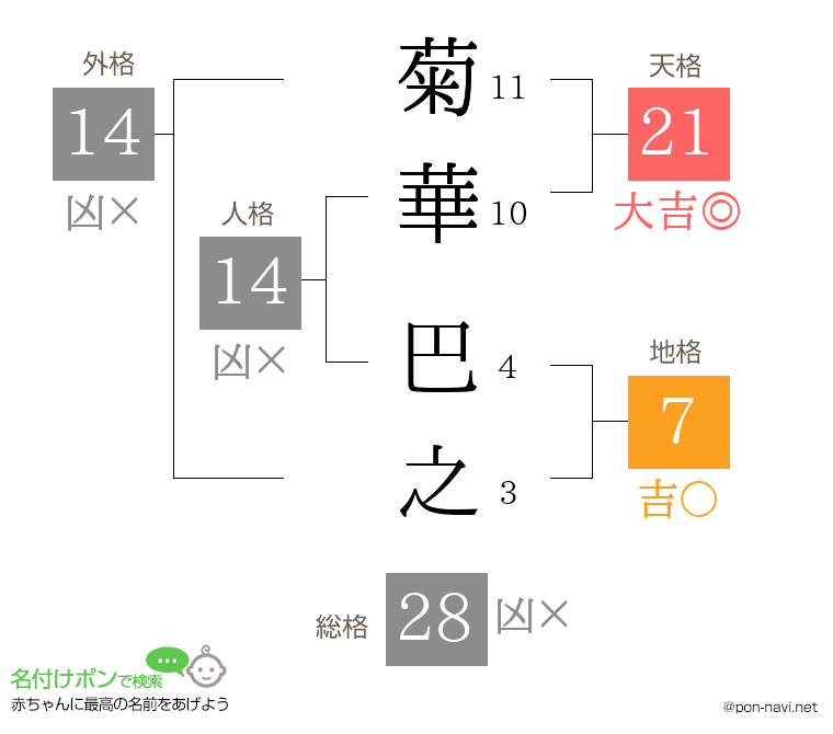 菊華 巴之さんの姓名判断結果