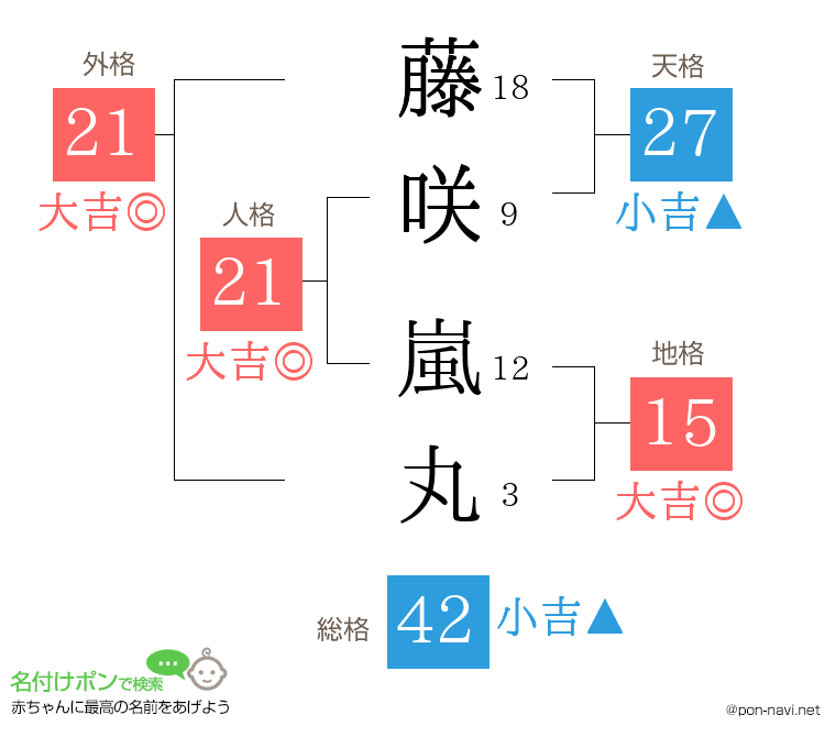 藤咲 嵐丸さんの姓名判断結果
