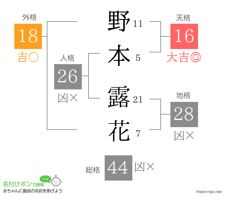 野本 露花さんの姓名判断結果