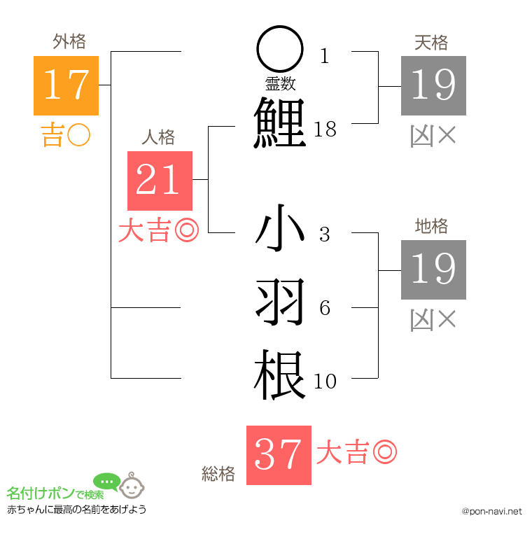 鯉 小羽根さんの姓名判断結果