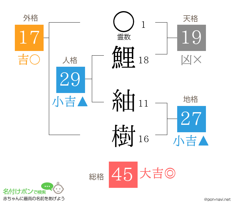 鯉 紬樹さんの姓名判断結果