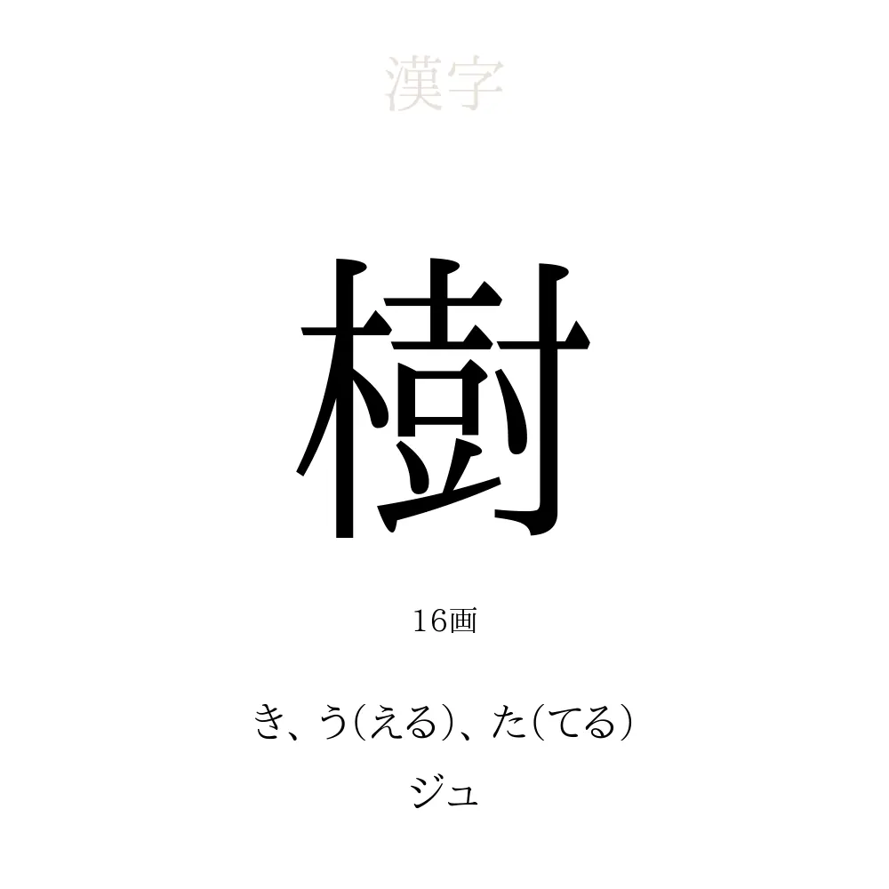 樹 の意味 読み方 画数 樹を使った名前一覧 人名漢字事典 名付けポン