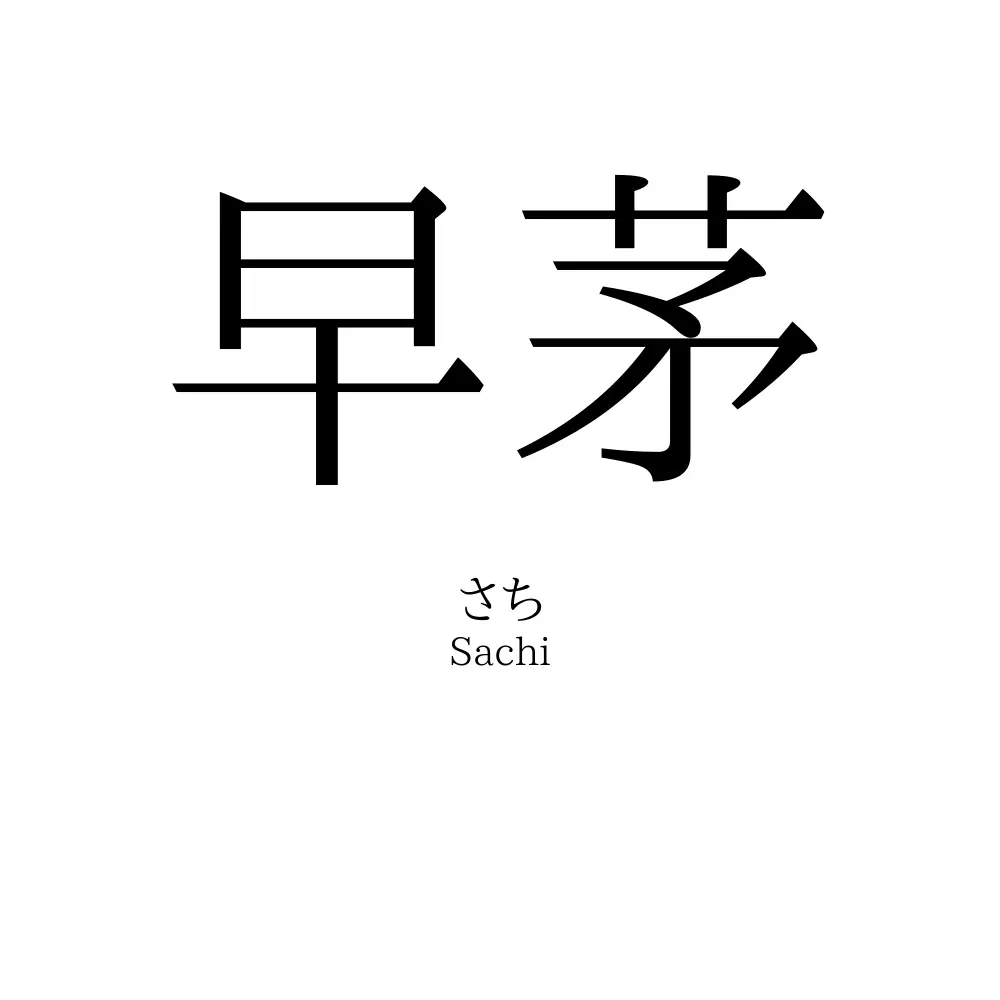 早茅